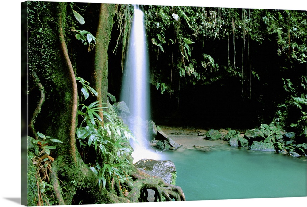Caribbean, Island of Dominica (aka Nature Island). Trois Piton National Park, Emerald Pool