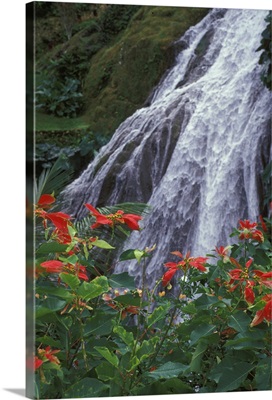 Caribbean, Jamaica, Waterfall, Ochos Rios, Shaw Park Gardens
