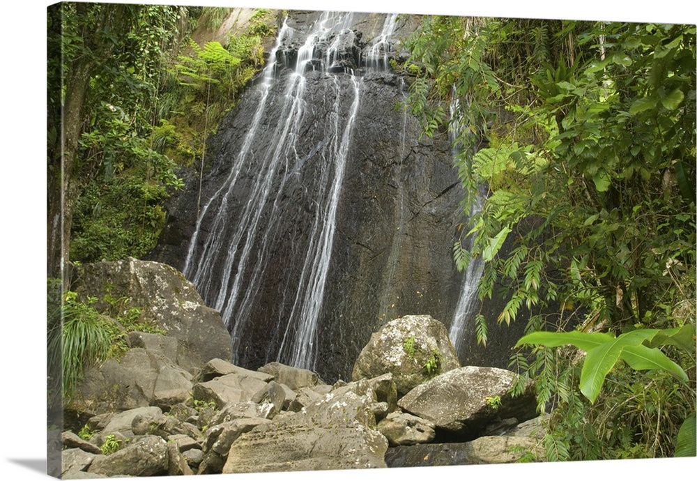 Caribbean, Puerto Rico, El Yunque rain forest, Caribbean National Forest. La Coca Falls.
