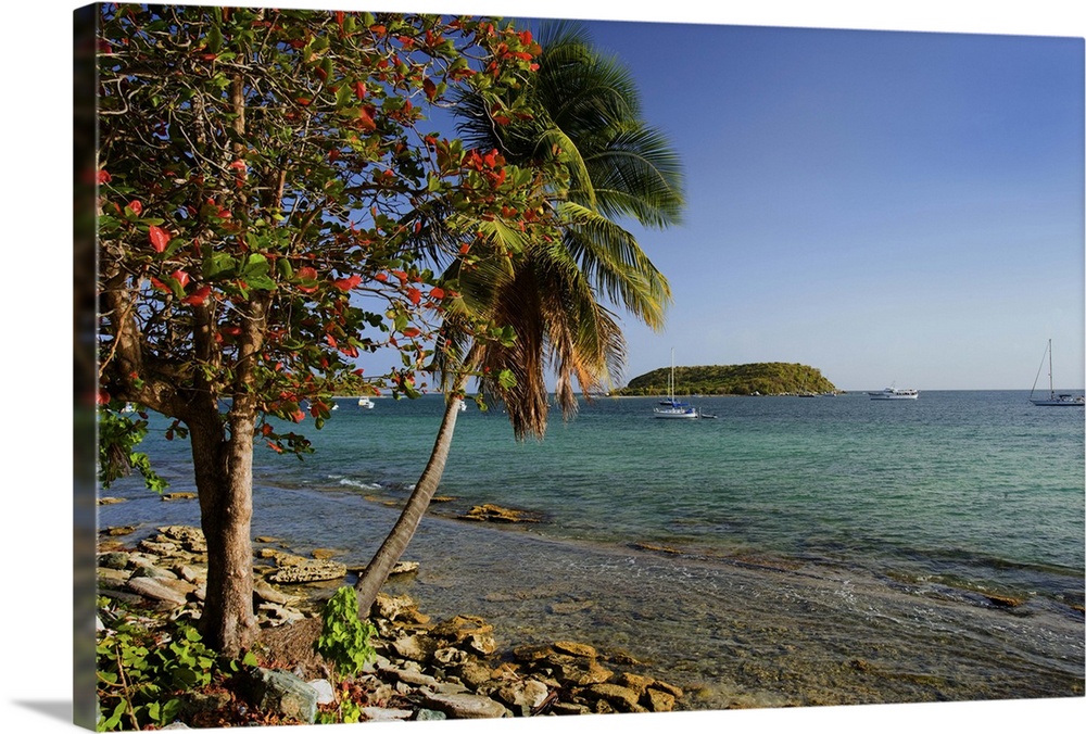 Caribbean, Puerto Rico, Esperanza. View of Vieques.Island and boats moored offshore. Credit as: Dennis Flaherty / Jaynes G...
