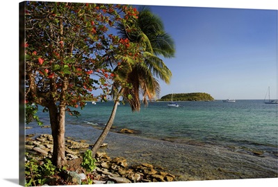 Caribbean, Puerto Rico, Esperanza. View of Vieques Island and boats moored offshore