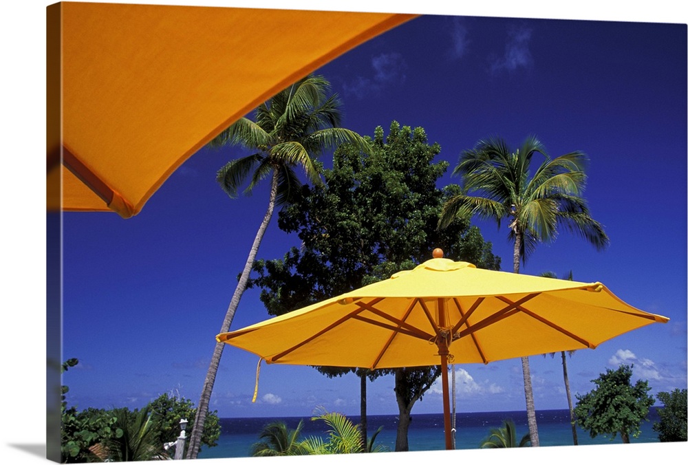 Caribbean, US Virgin Islands, St. Croix, Cane Bay. Yellow umbrellas at Carambola Beach Resort