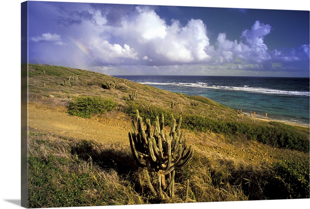 Caribbean, US Virgin Islands, St. Croix, Point Udall. Point seascape with rainbow