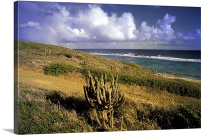 Caribbean, US Virgin Islands, St. Croix, Point Udall seascape with rainbow