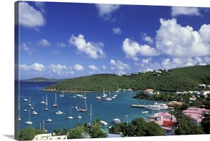 Caribbean, US Virgin Islands, St. John, Cruz Bay image thumbnail