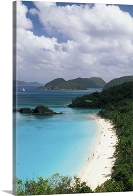 Caribbean, US Virgin Islands, St. John. Trunk Bay overview