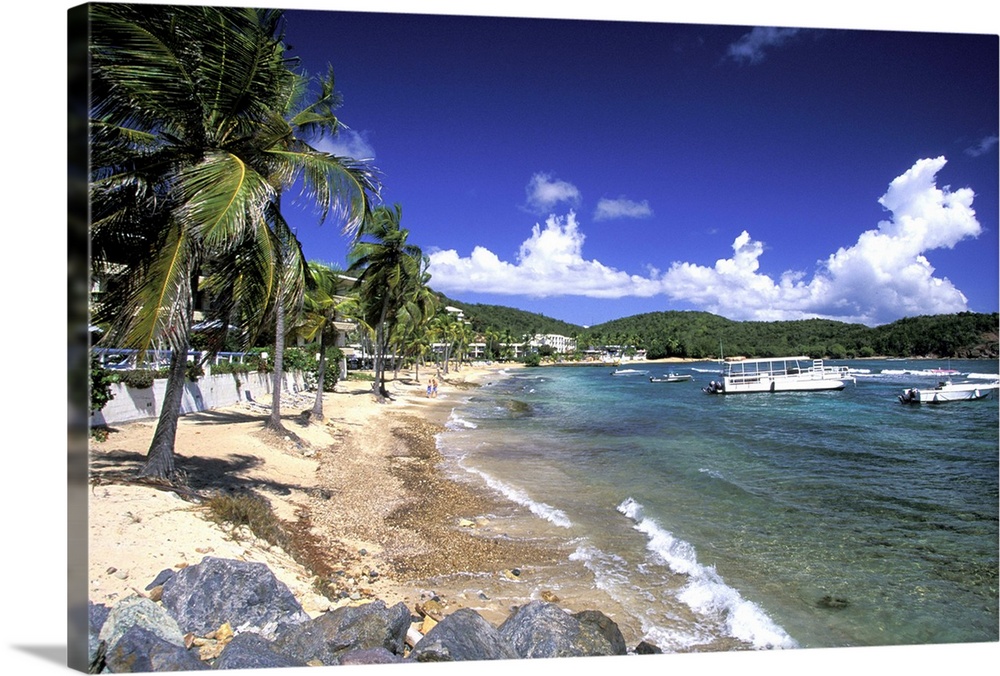 Caribbean, US Virgin Islands, St. Thomas, Bolongo Bay. Beach and bay view