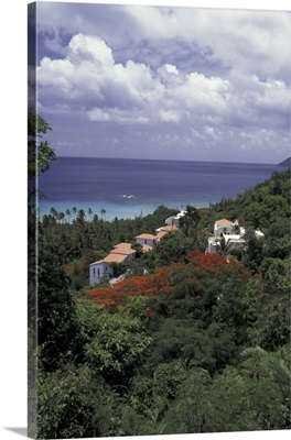 Caribbean, Virgin Islands, Saint Croix, Villas on the hillside
