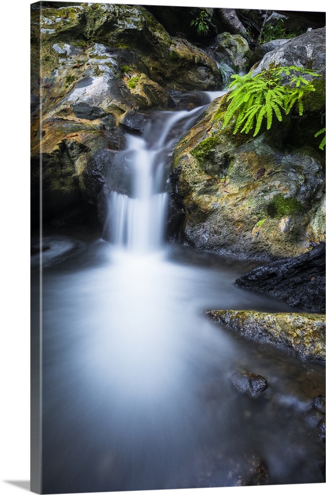 Cascade on Limekiln Creek, Limekiln State Park, Big Sur, California USA