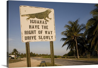Cayman Islands, Little Cayman Island, Iguana Crossing Sign along country road
