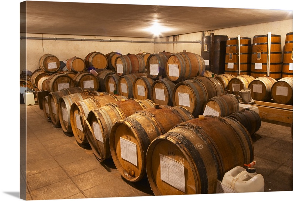 In the Chapoutier winery. The special storage room for spirits, marc, fine, with old wooden barrels and vats. Chapoutier i...
