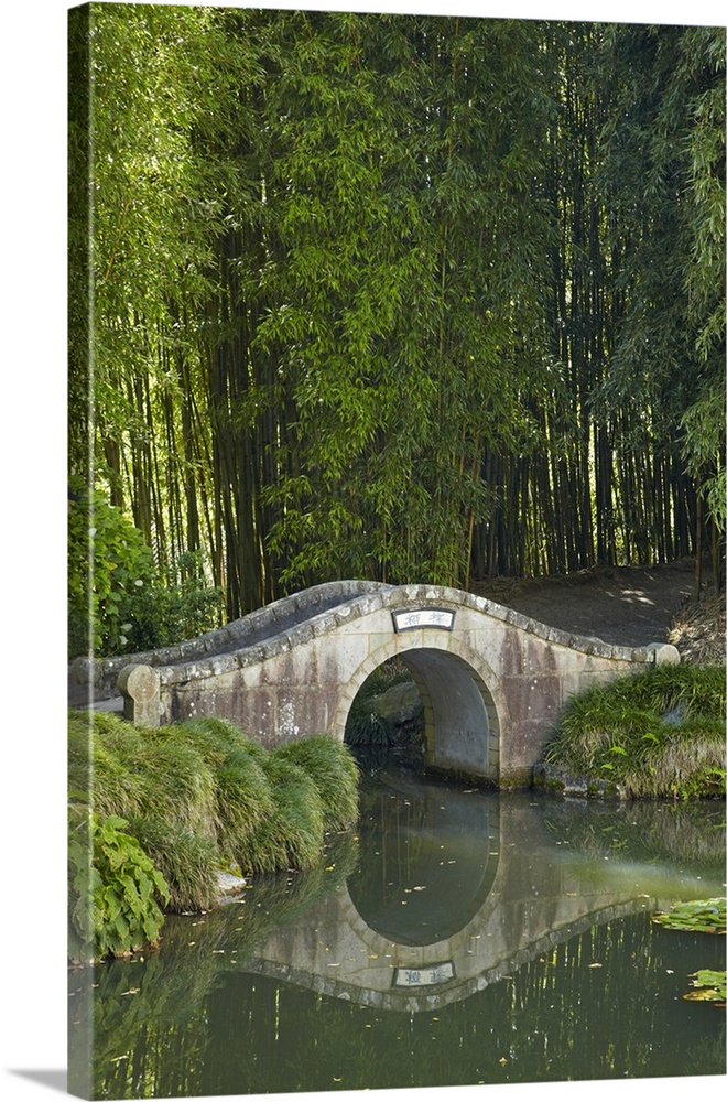 Chinese Scholar's Garden, Hamilton, Waikato, North Island, New Zealand.