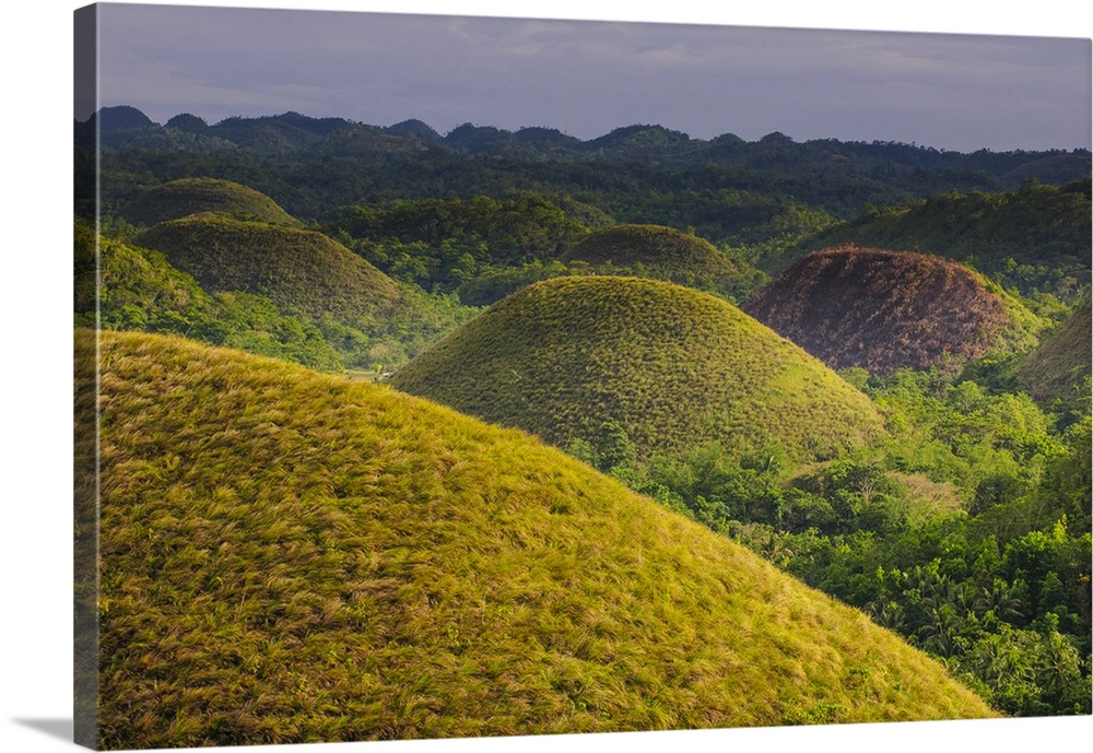 Chocolate Hills, Bohol, Philippines.