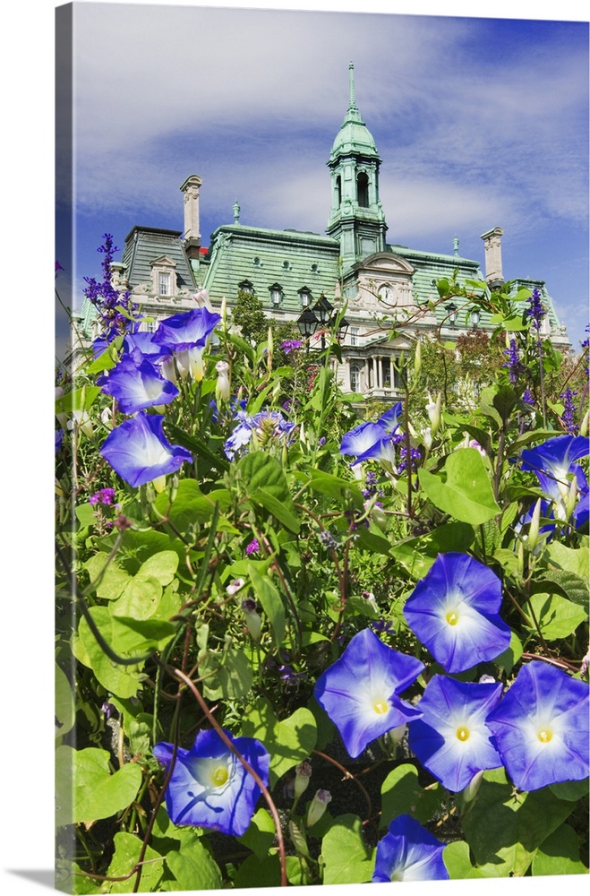 USA, Canada, Montreal. View of City Hall building behind flowers. Credit: Dennis Flaherty