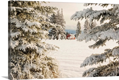 Classic red barn and snow scene, Kalispell, Montana-