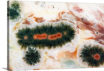 Close-up of ocean jasper stone found in Madagascar