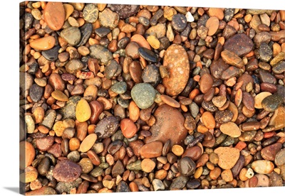 Close-Up Of Rocks On The Beach, Cabo Pulmo, Los Cabos Area, Baja California, Mexico