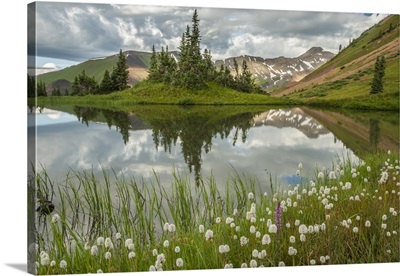 Colorado, Gunnison National Forest. Paradise Divide and pond reflection