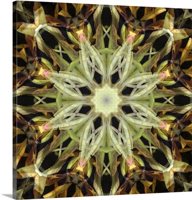 Colorful Kaleidoscope - Green And Brown