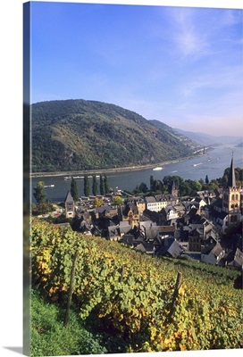 Colorful Wine Vineyards On the Beautiful Rhine River, Bacharach, Germany