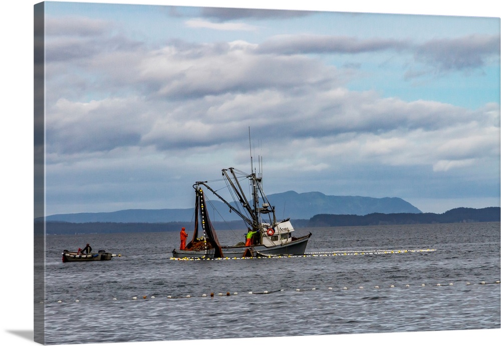 North America, USA, Alaska, Kodiak, Chiniak Bay. Commercial fishing for salmon near a beach on Kodiak Island.