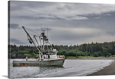 Commercial Fishing For Salmon Near A Beach On Kodiak Island, Chiniak Bay, Alaska