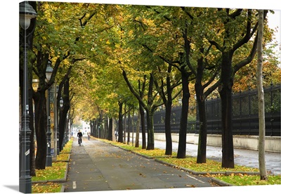 Copenhagen, Denmark, A city bike path near a park is lined with trees