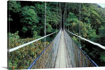 Costa Rica, Monteverde Cloud Forest, Suspension Bridge along Sky Walk