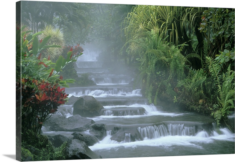 Costa Rica, Tabacon Hot Springs, below Arenal Volcano, tropical vegetation along natural hot springs.