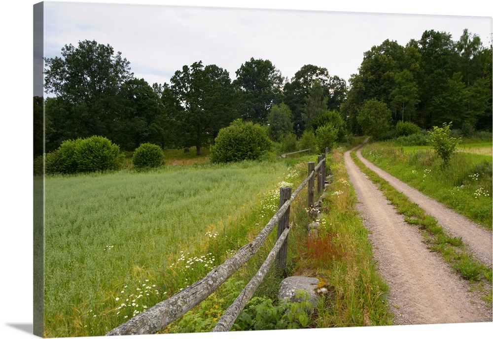 Country road, wooden fence and field. Through the forest. Smaland region. Sweden, Europe.