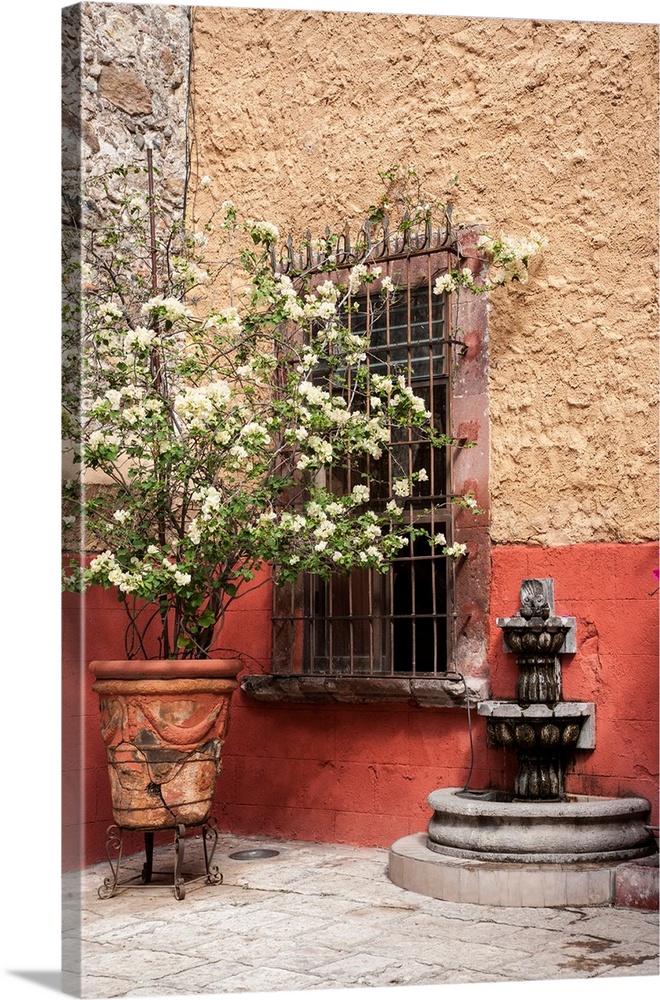 Mexico, San Miguel de Allende, Courtyard in San Miguel de Allende.