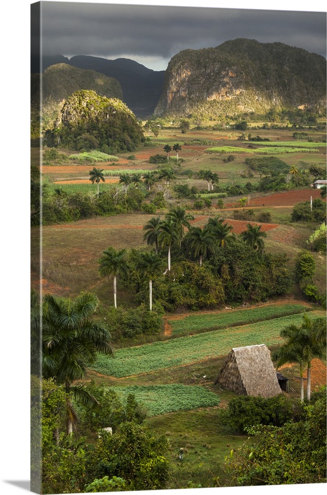 Cuba, Vinales. An elevated view over the valley and its fields and farms.