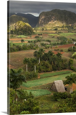 Cuba, Vinales, An elevated view over the valley and its fields and farms