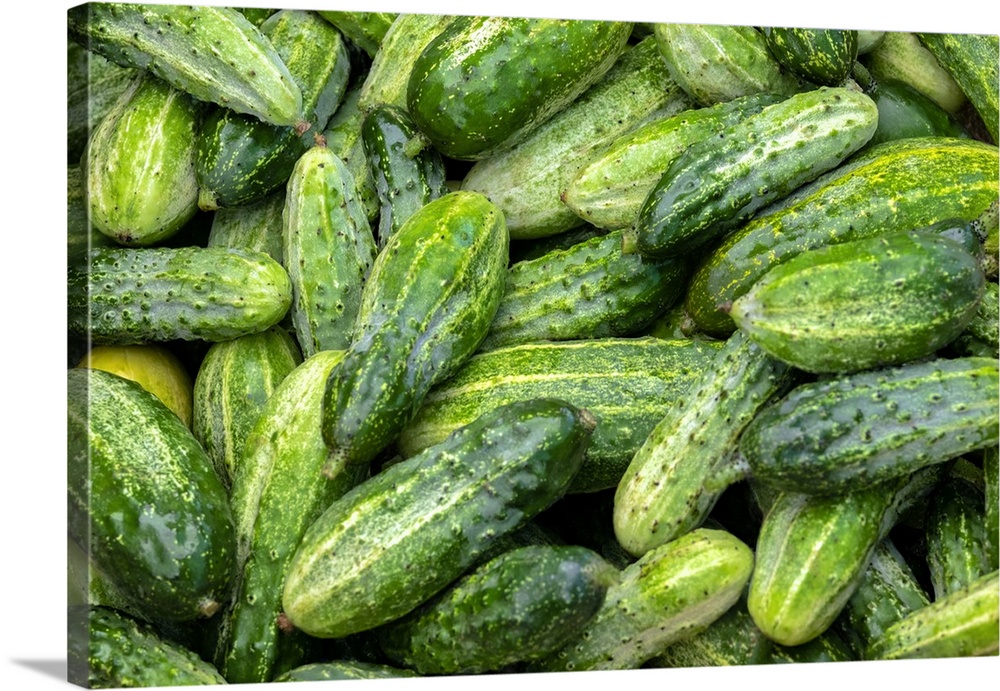 Cucumbers, USA