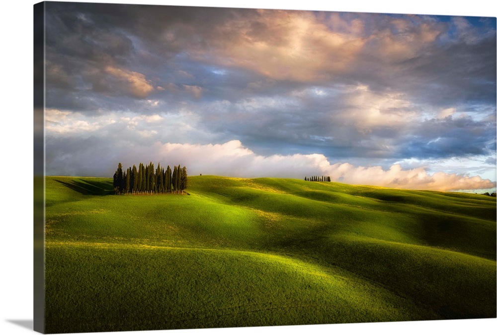 Italy, Tuscany, Val d'Orcia. Cypress grove and clouds at sunset. Credit: Jim Nilsen