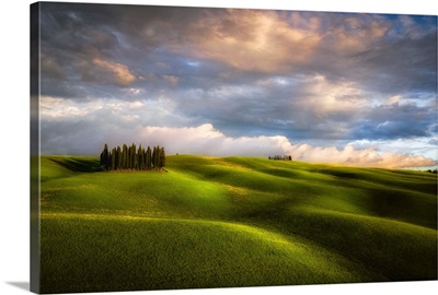 Cypress Grove And Clouds At Sunset, Italy, Tuscany, Val d'Orcia