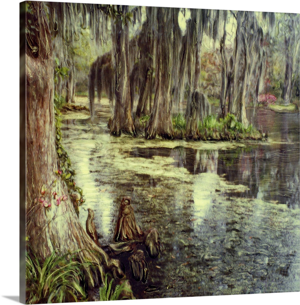 USA, South Carolina, Charleston, Magnolia Plantation and Gardens. Cypress trees reflected in water.