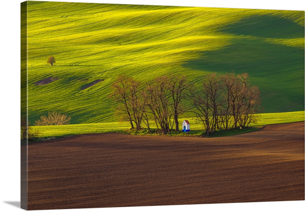 Czech Republic, Moravia. Small chapel in trees and field. Credit: Jim Nilsen