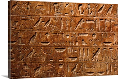 Detail of hieroglyphic writing. Museum of Fine Arts. Budapest. Hungary
