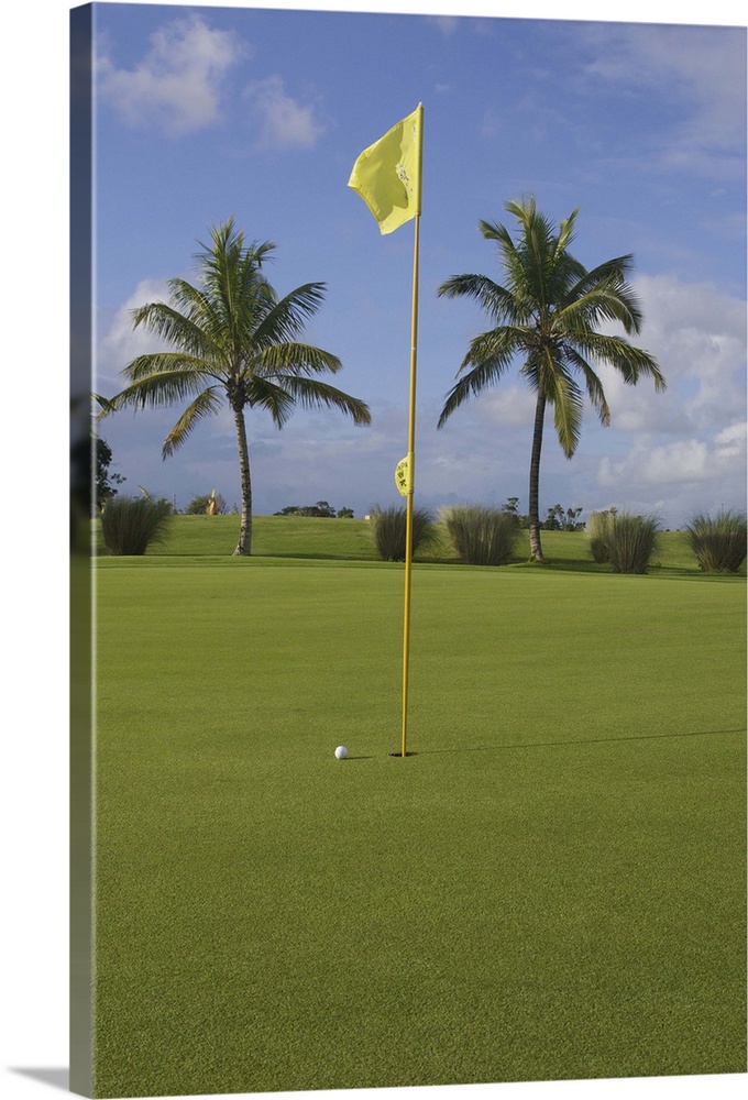 Dominican Republic, La Altagracia, Punta Cana, Bavaro, Punta Blanca Golf Club, putting green