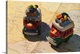 image thumbnail of Dominican Republic, Punta Cana Region, Bavaro, toy busses on Dominican map