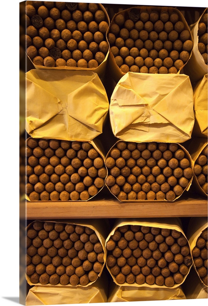 Dominican Republic, Santo Domingo, Zona Colonial, Cohiba cigars stored at the Boutique del Fumador cigar factory