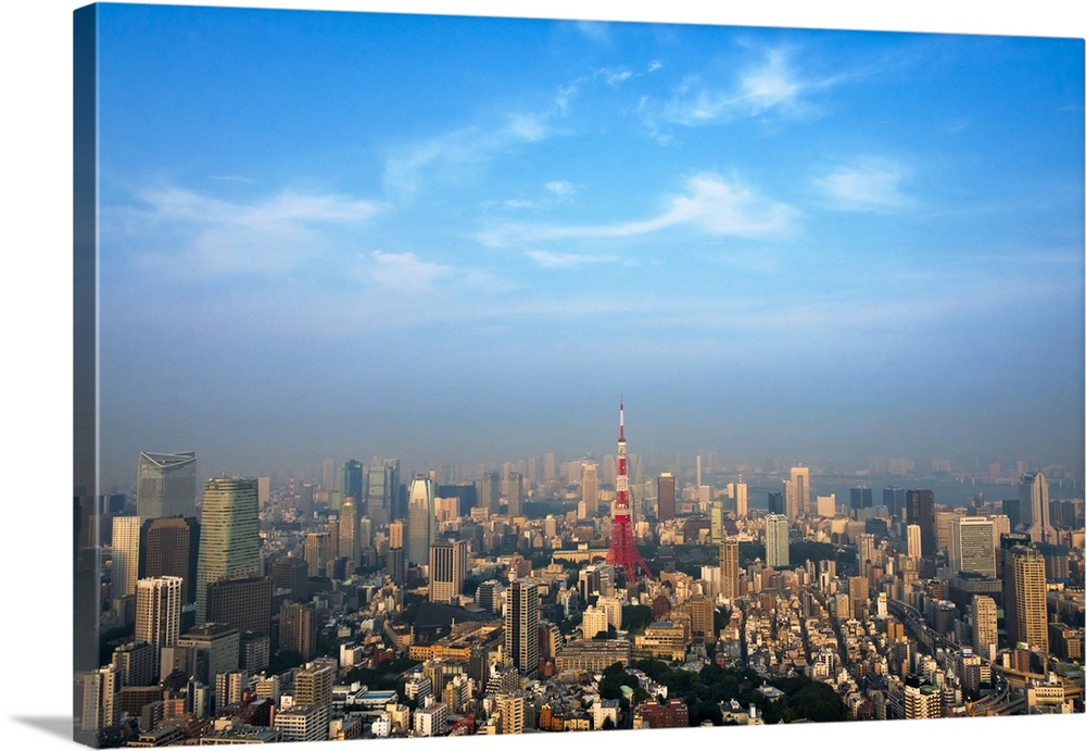 Downtown skyline dominated by Tokyo Tower, Tokyo, Japan