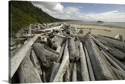 Driftwood at Long Beach, Tofino, British Columbia, Canada
