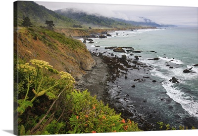 Driving On Route One Along The Northern California Coast