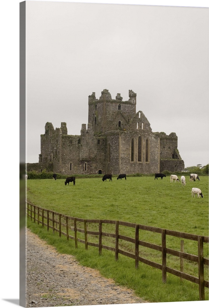 Dunbrody Abbey, Dumbrody, County Wexford, Ireland.