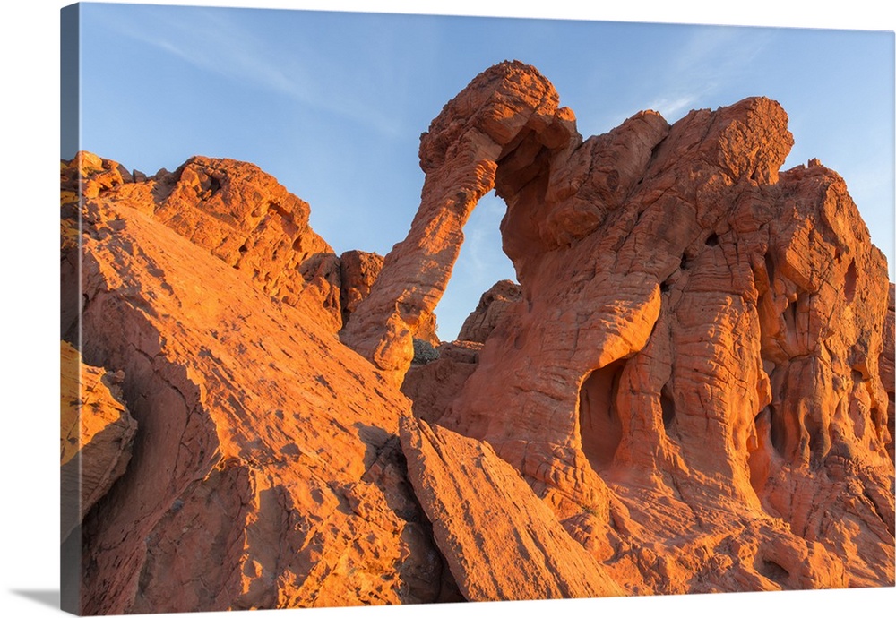 Elephant Rock at Valley of the Fire State Park, Nevada, USA