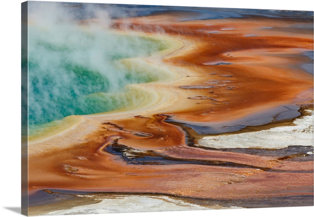 Elevated view of Grand Prismatic Spring, the largest in the U.S. and third largest in the world, Midway Geyser Basin, Yell...