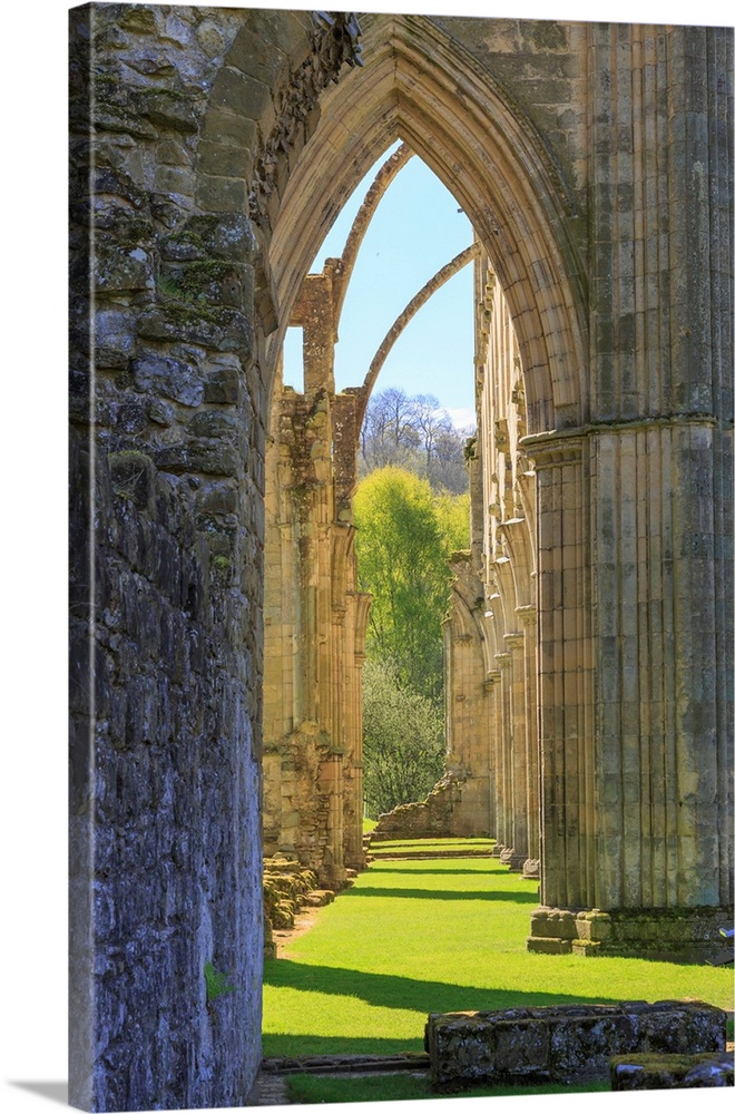 England, North Yorkshire, Rievaulx. 13th c. Cistercian ruins of Rievaulx Abbey. English Heritage and National Trust Site. ...