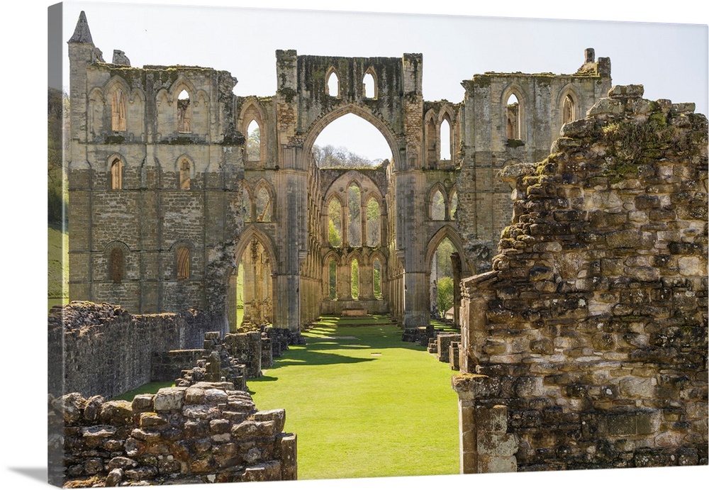 England, North Yorkshire, Rievaulx. 13th c. Cistercian ruins of Rievaulx Abbey. English Heritage and National Trust Site. ...